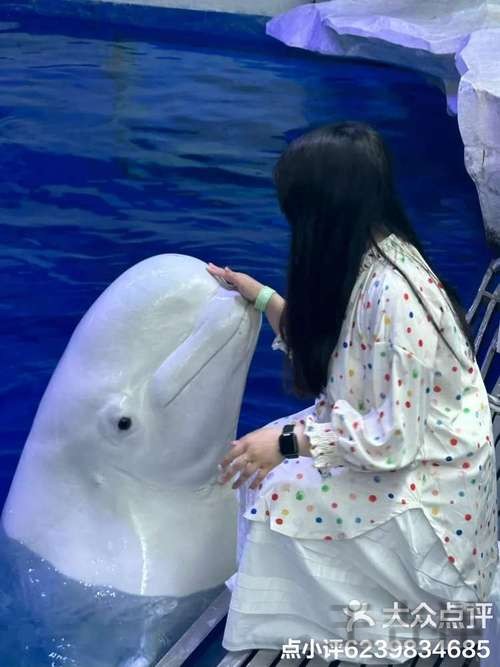 乐鱼在哪里玩更方便详细入口说明